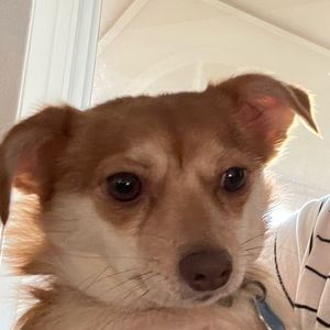 Meet your Posher, Cathy